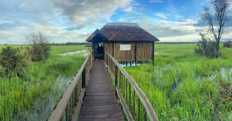Boardwalk and thatched hide in the sanctuary; a general archive view