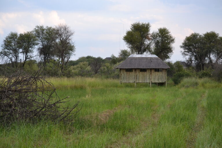 Around the grounds at Zaagkuilsdrift Bird Sanctuary and Lodge