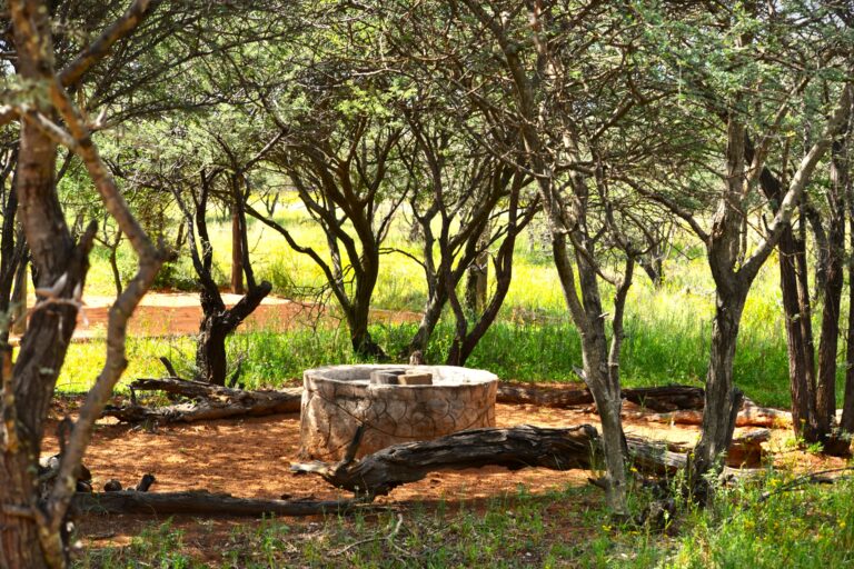 A quiet corner under the trees at Zaagkuilsdrift Bird Sanctuary and Lodge