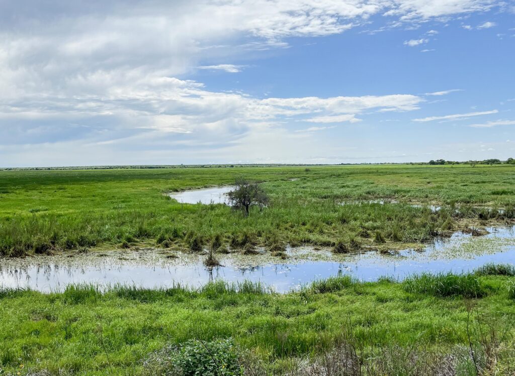 Across the wetland at Zaagkuilsdrift Bird Sanctuary and Lodge